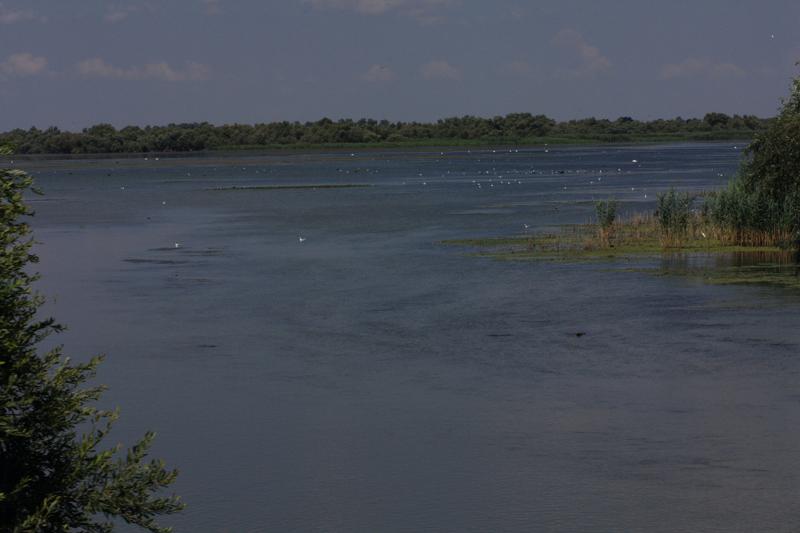 259-Delta del Danubio,7 agosto 2011.JPG